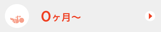 0ヶ月～