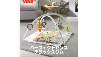 パーフェクトセンス・デラックスジム