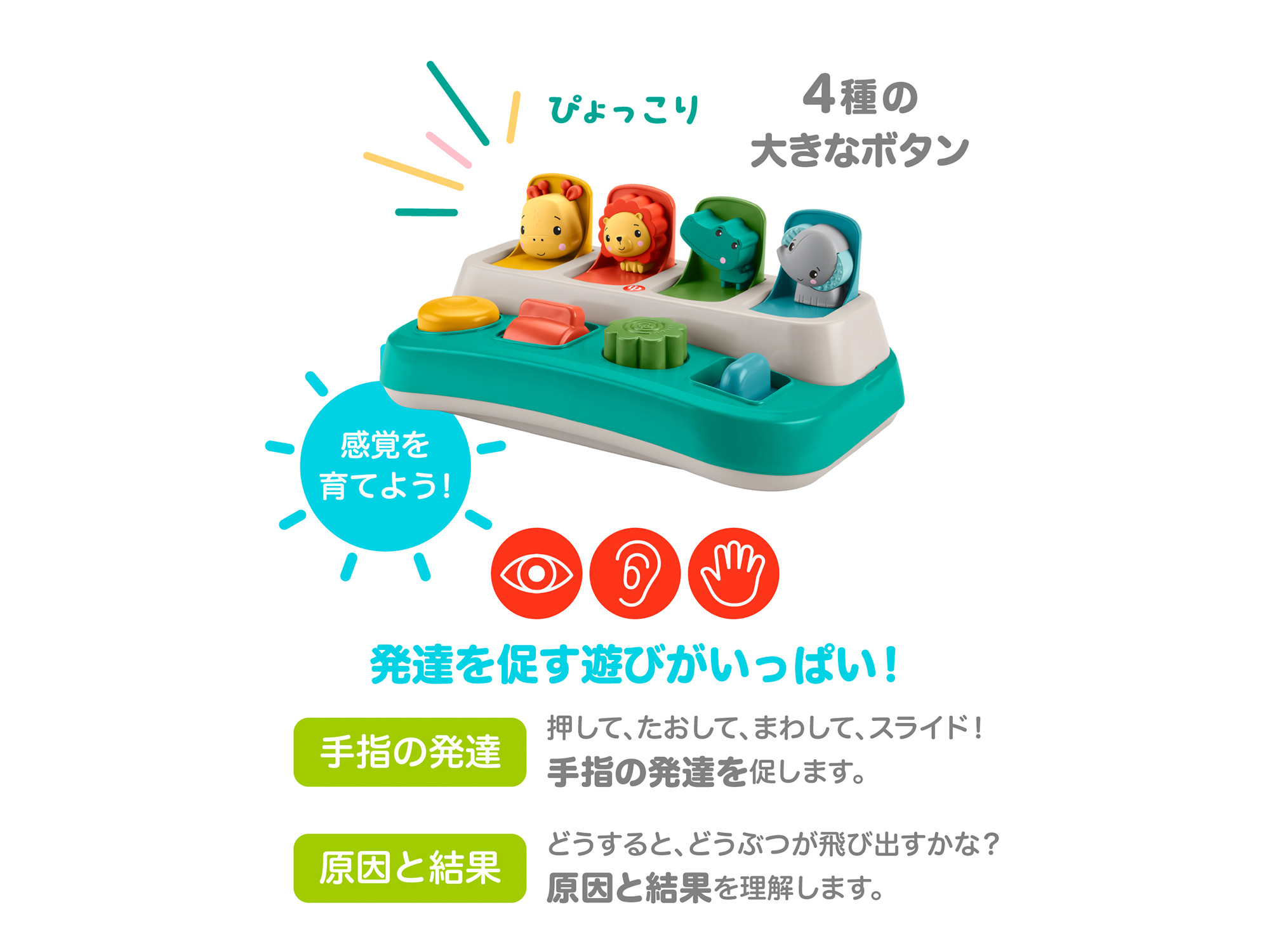 感覚を育てよう！ボタンでぴょっこりどうぶつえん | Fisher-Price | mattel