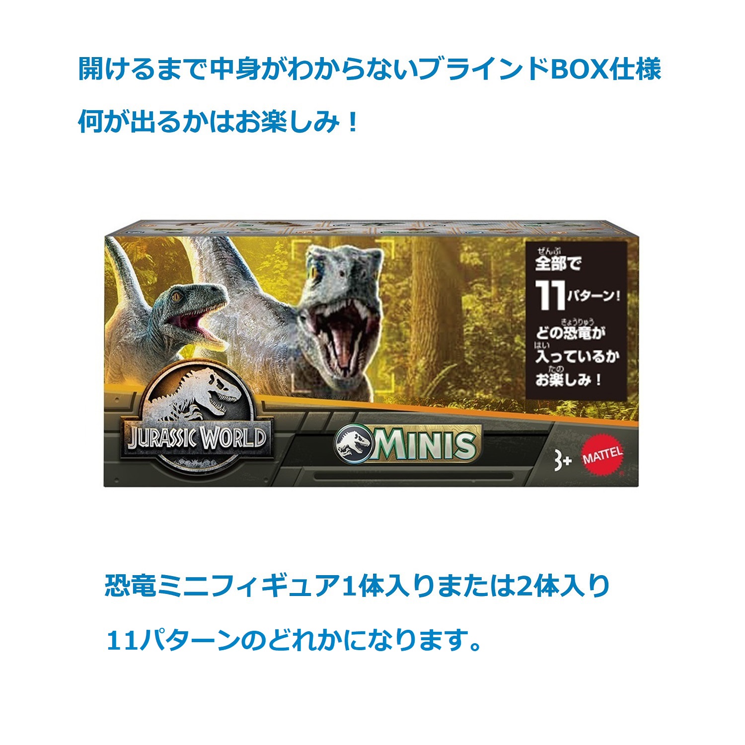 アソートボックス ( 9個入 ) ドッグタイム シリーズ アソートボックス 